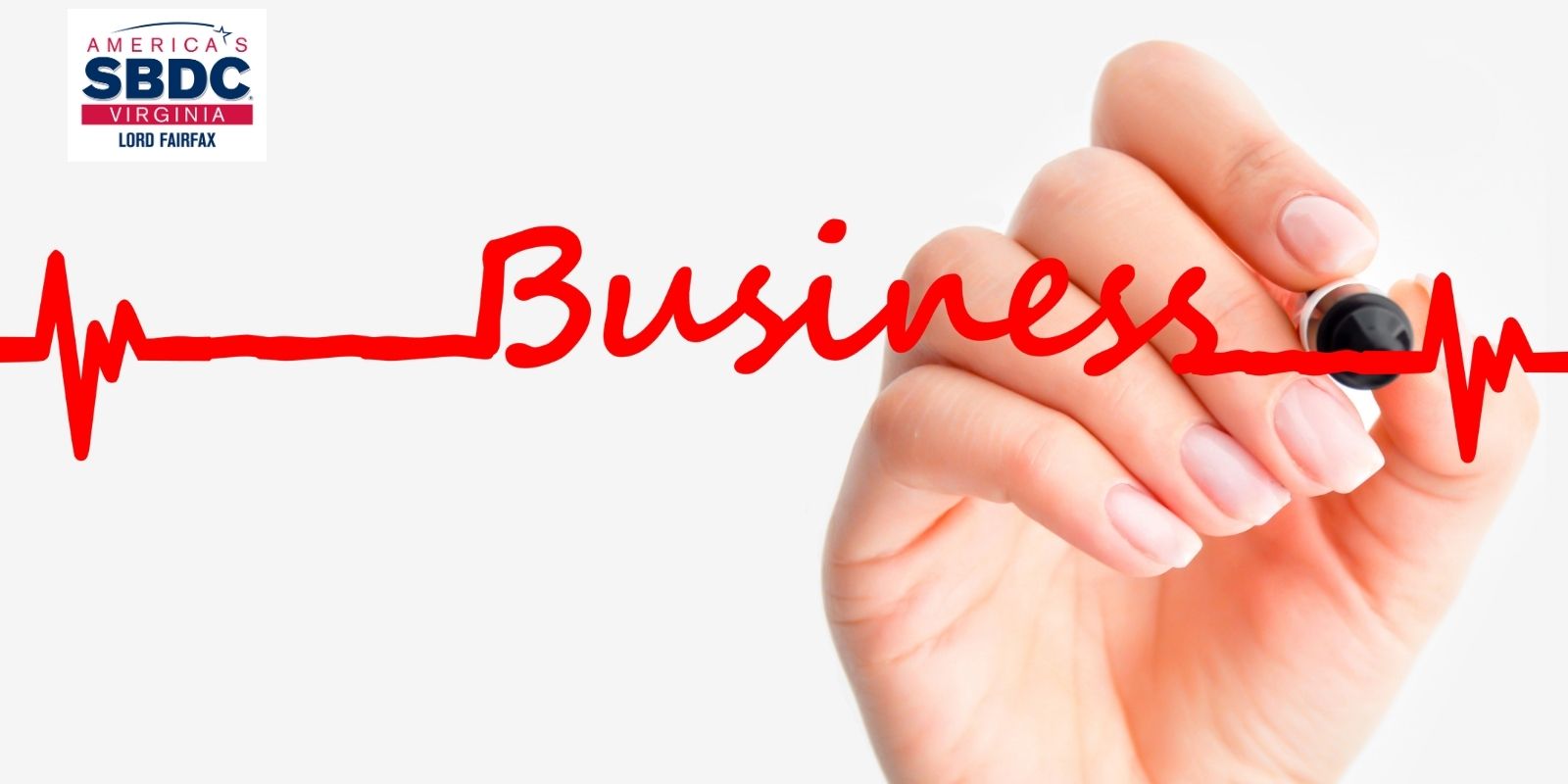 Small Business Consultants Winchester VA - Small Business Struggles